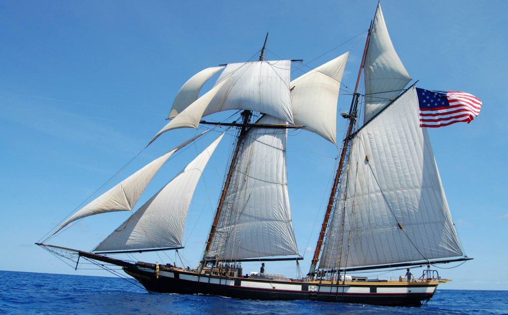 TallShipLynx1024x636.jpg