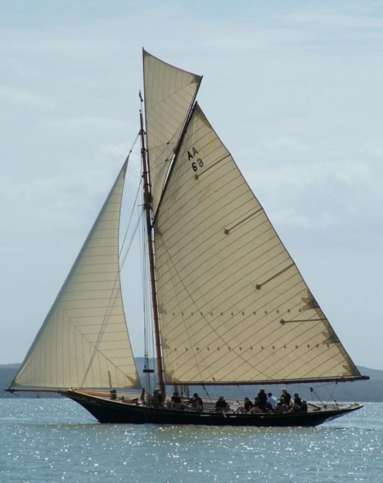 waitangi classic yacht