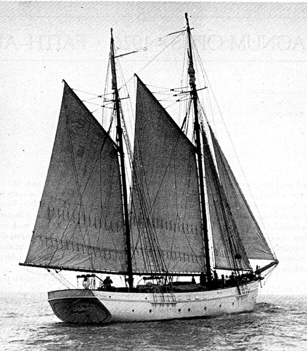 araner yacht